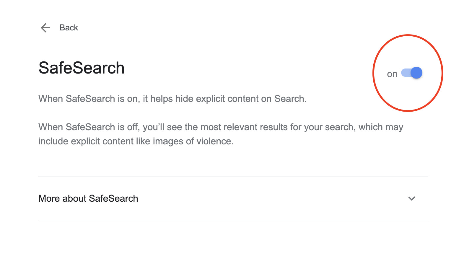 SafeSearch feature-on