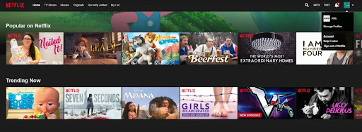 Netflix dropdown menu